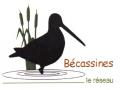 Bécassines le reseau