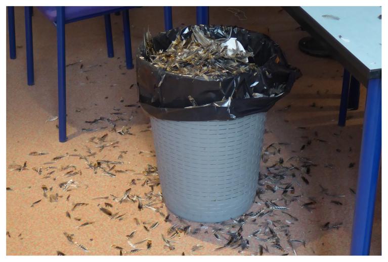 L'aspirateur sera utile