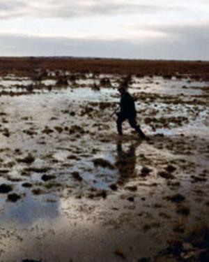 CHASSE EN BRIERE