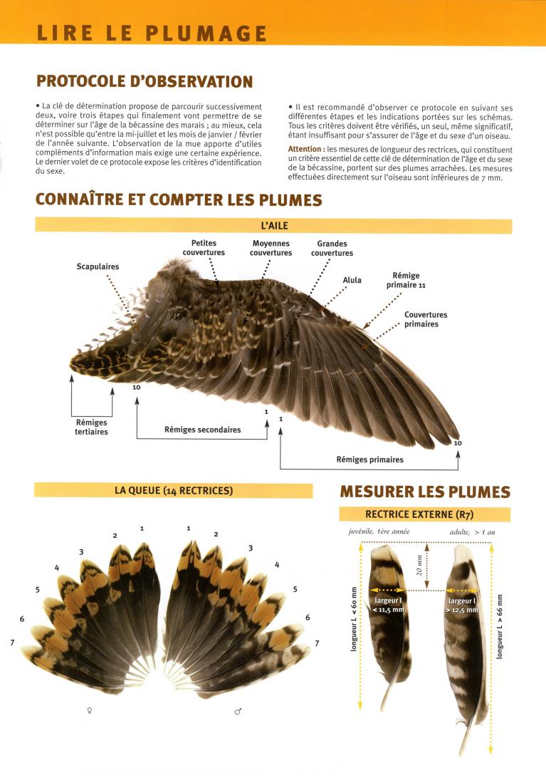 Cliquez pour lire le document