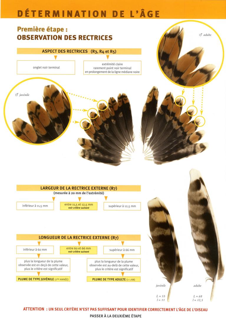 Cliquez pour lire le document