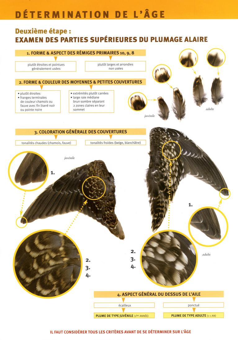 Cliquez pour lire le document