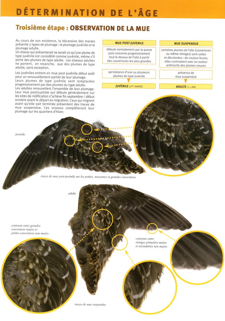 Cliquez pour lire le document