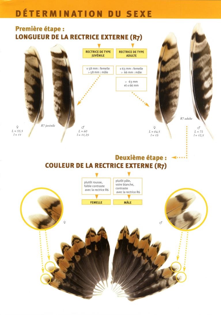 Cliquez pour lire le document