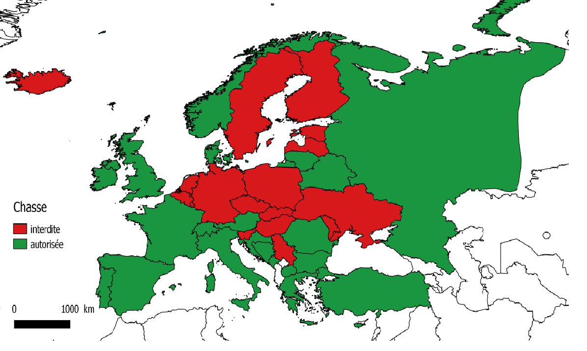 Carte des trajets de 6 becassines
