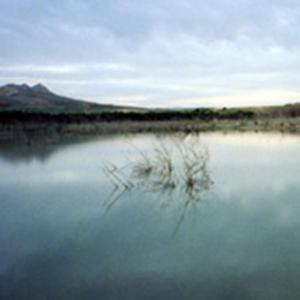 TUNISIE H.KHALED